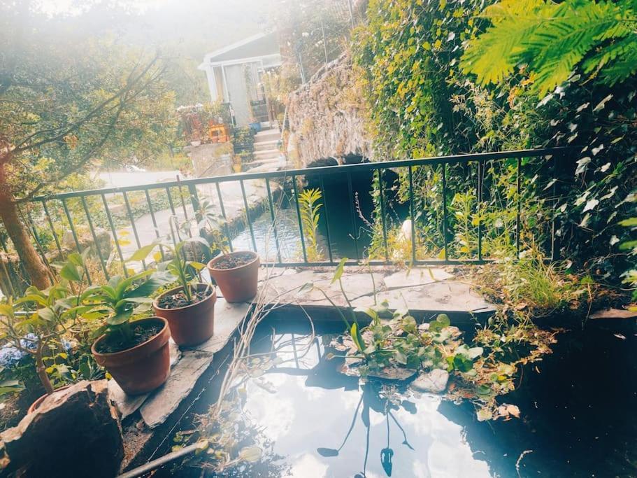 Gite Et Jardin En Bord De Riviere Saumane Exterior foto